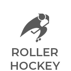 Roller Hockey
