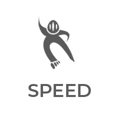 Speed